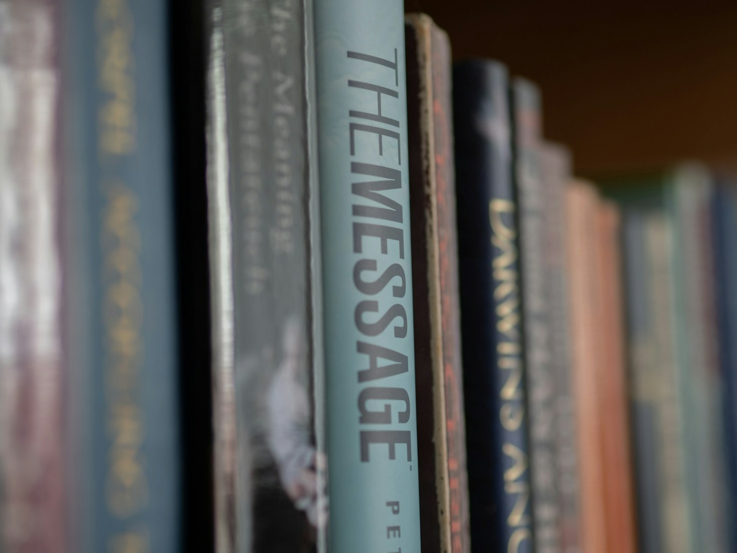 Living Oneness: Insights into Connection